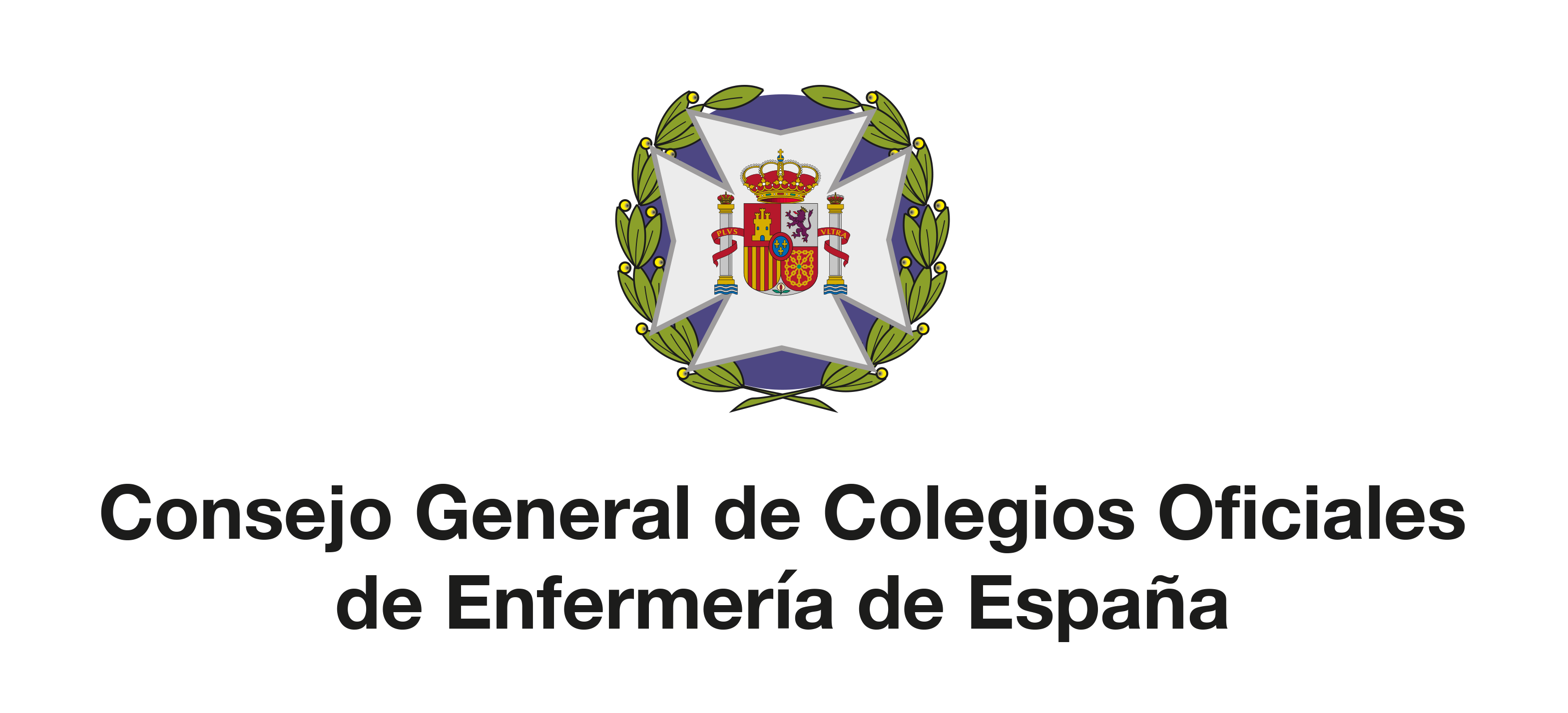 Consejo General de Colegios Oficiales de Enfermería de España